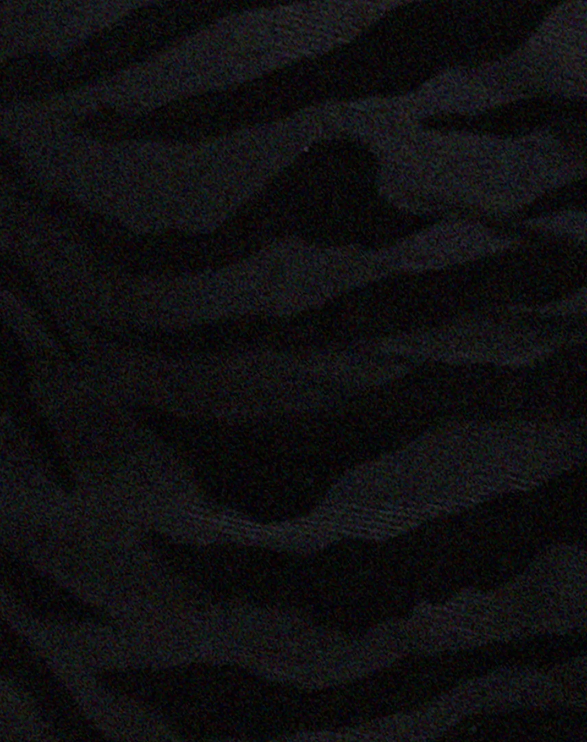 Rayu Top in Zebra Flock Black